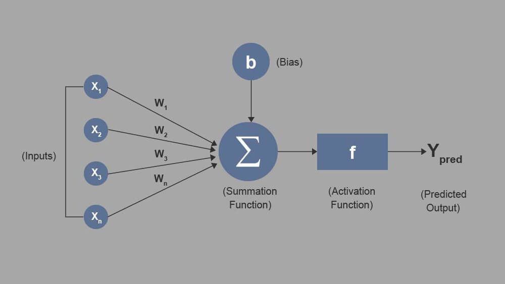 neural networks