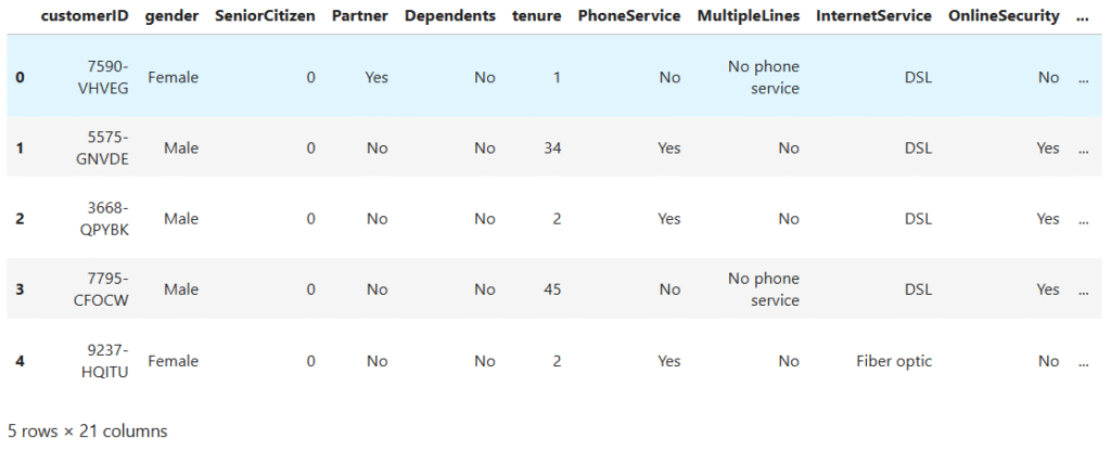 customer chun dataset