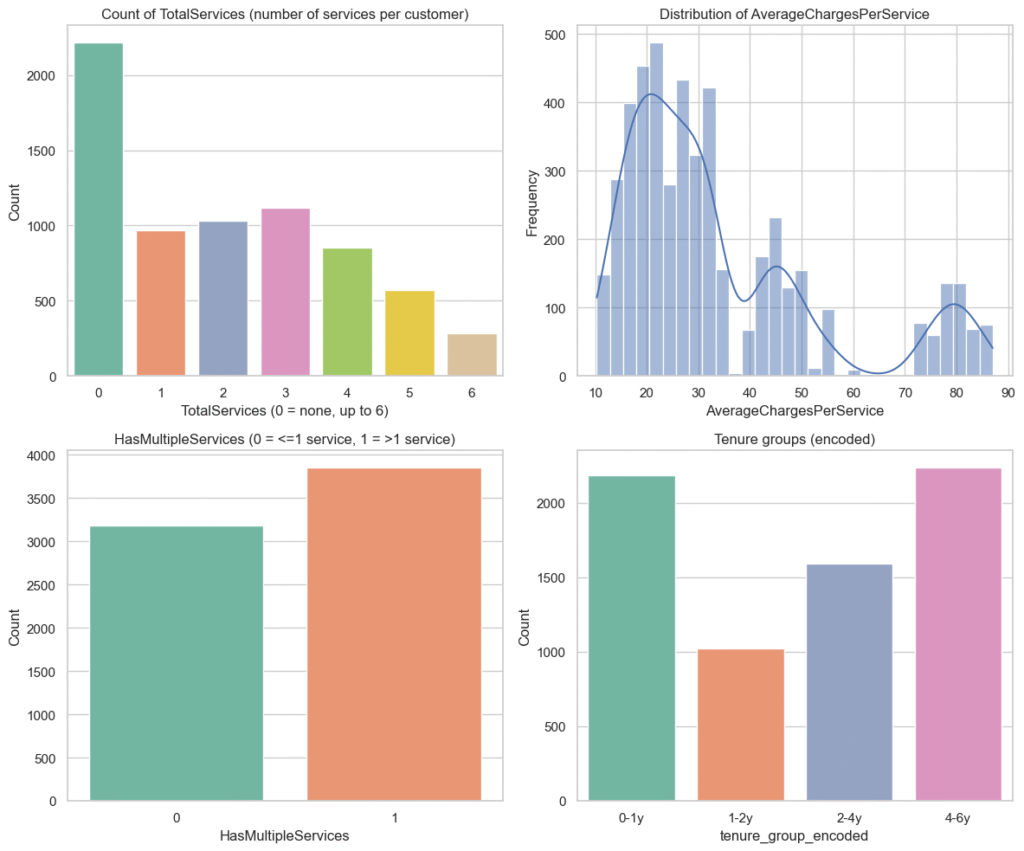 feature enigineered viz
