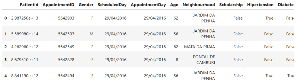 healthcare appointment dataset preview